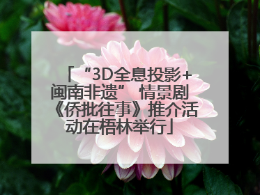 “3D全息投影+闽南非遗” 情景剧《侨批往事》推介活动在梧林举行