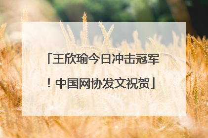 王欣瑜今日冲击冠军！中国网协发文祝贺