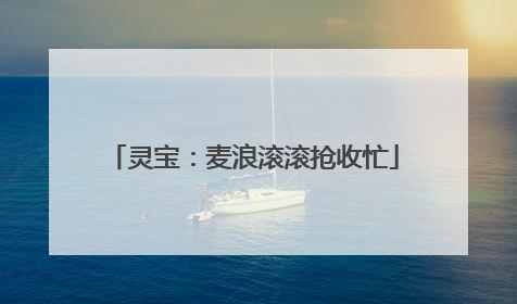 灵宝：麦浪滚滚抢收忙