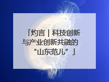 灼言｜科技创新与产业创新共融的“山东范儿”