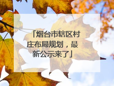 烟台市辖区村庄布局规划，最新公示来了