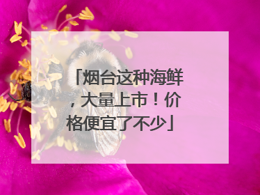 烟台这种海鲜，大量上市！价格便宜了不少