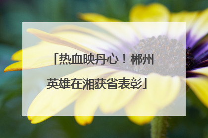 热血映丹心！郴州英雄在湘获省表彰