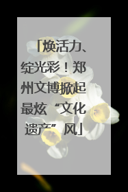 焕活力、绽光彩！郑州文博掀起最炫“文化遗产”风