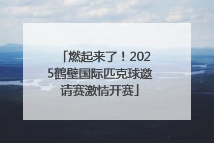 燃起来了！2025鹤壁国际匹克球邀请赛激情开赛