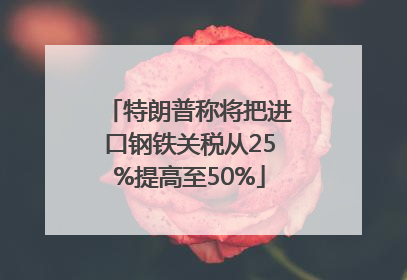 特朗普称将把进口钢铁关税从25%提高至50%