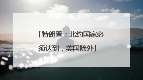 特朗普：北约国家必须达到，美国除外
