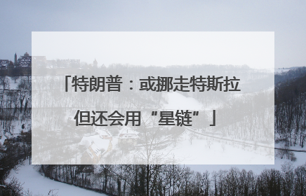 特朗普：或挪走特斯拉 但还会用“星链”