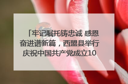 牢记嘱托铸忠诚 感恩奋进谱新篇，西盟县举行庆祝中国共产党成立104周年文艺晚会