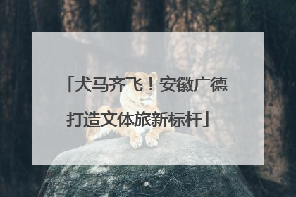 犬马齐飞！安徽广德打造文体旅新标杆