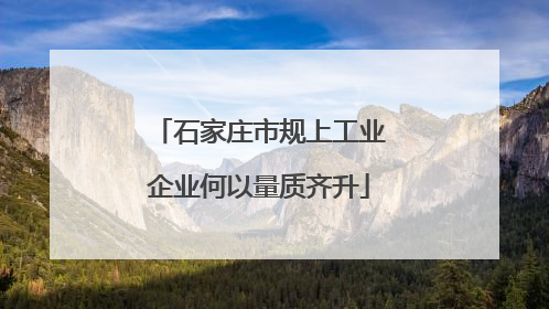 石家庄市规上工业企业何以量质齐升