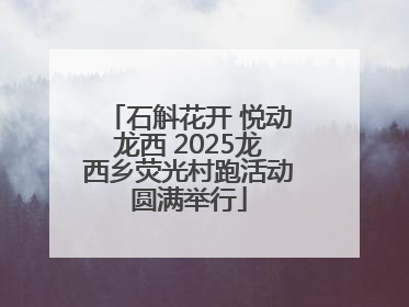 石斛花开 悦动龙西 2025龙西乡荧光村跑活动圆满举行