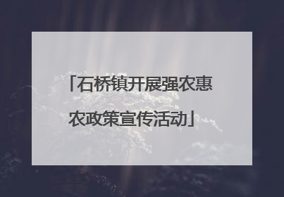 石桥镇开展强农惠农政策宣传活动