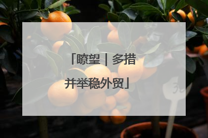 瞭望｜多措并举稳外贸
