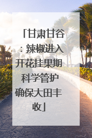甘肃甘谷：辣椒进入开花挂果期 科学管护确保大田丰收