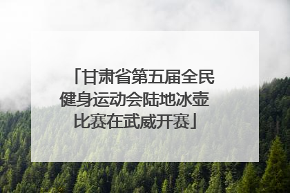 甘肃省第五届全民健身运动会陆地冰壶比赛在武威开赛