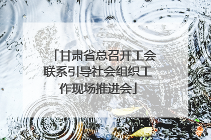 甘肃省总召开工会联系引导社会组织工作现场推进会