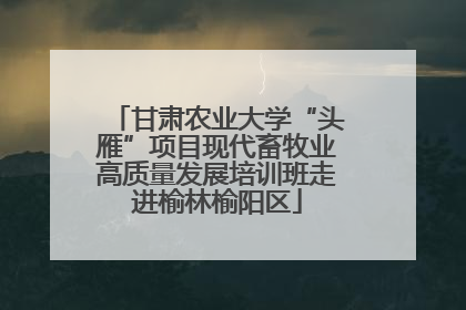 甘肃农业大学“头雁”项目现代畜牧业高质量发展培训班走进榆林榆阳区