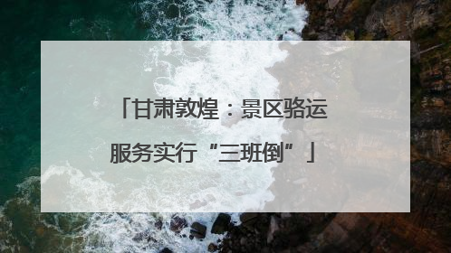 甘肃敦煌：景区骆运服务实行“三班倒”