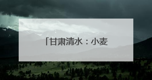 甘肃清水：小麦管理正当时 守护粮“芯”绘丰景