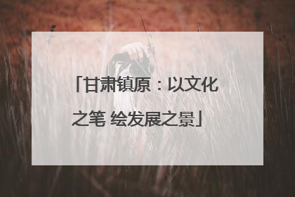 甘肃镇原：以文化之笔 绘发展之景