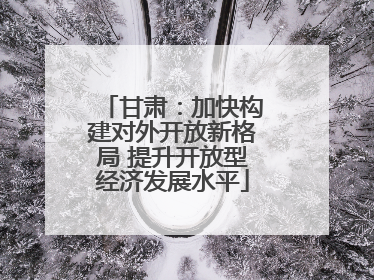 甘肃：加快构建对外开放新格局 提升开放型经济发展水平
