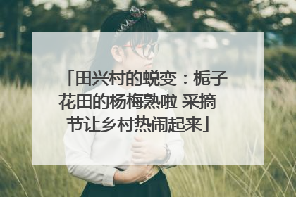 田兴村的蜕变：栀子花田的杨梅熟啦 采摘节让乡村热闹起来