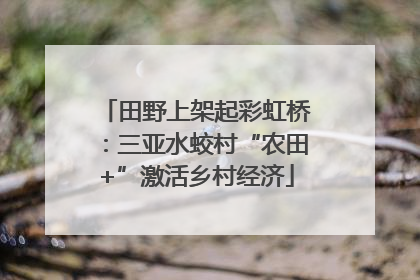 田野上架起彩虹桥：三亚水蛟村“农田+”激活乡村经济