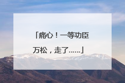 痛心！一等功臣万松，走了……