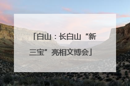 白山：长白山“新三宝”亮相文博会