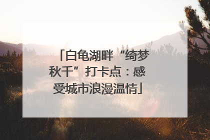 白龟湖畔“绮梦秋千”打卡点：感受城市浪漫温情