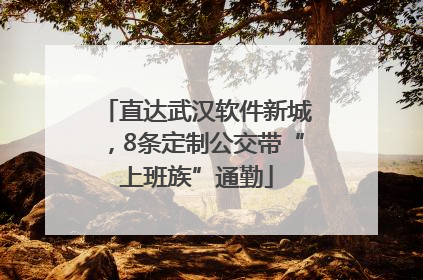 直达武汉软件新城，8条定制公交带“上班族”通勤