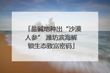 盐碱地种出“沙漠人参” 潍坊滨海解锁生态致富密码