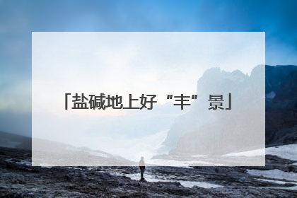 盐碱地上好“丰”景