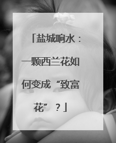 盐城响水：一颗西兰花如何变成“致富花”？
