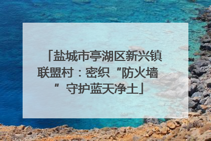 盐城市亭湖区新兴镇联盟村：密织“防火墙”守护蓝天净土