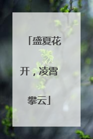 盛夏花开，凌霄攀云