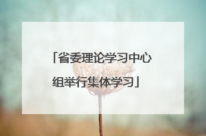 省委理论学习中心组举行集体学习