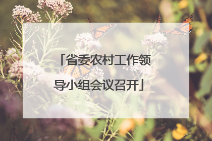 省委农村工作领导小组会议召开