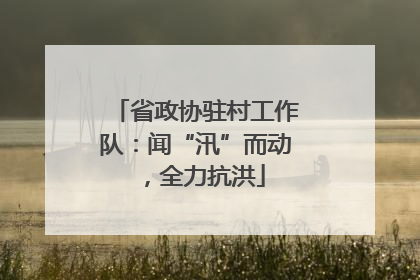 省政协驻村工作队：闻“汛”而动，全力抗洪