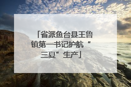 省派鱼台县王鲁镇第一书记护航“三夏”生产