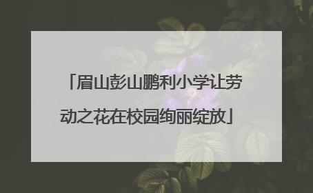 眉山彭山鹏利小学让劳动之花在校园绚丽绽放