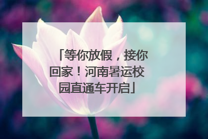 等你放假，接你回家！河南暑运校园直通车开启