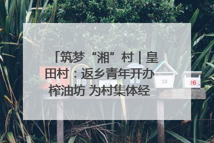 筑梦“湘”村｜皇田村：返乡青年开办榨油坊 为村集体经济“加油”