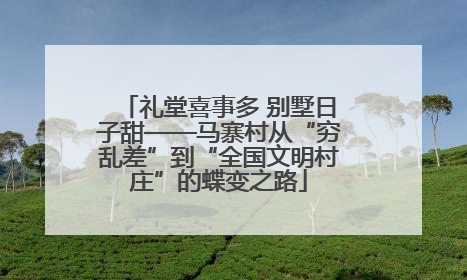 礼堂喜事多 别墅日子甜——马寨村从“穷乱差”到“全国文明村庄”的蝶变之路
