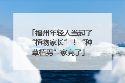福州年轻人当起了“植物家长”！“种草植男”家亮了