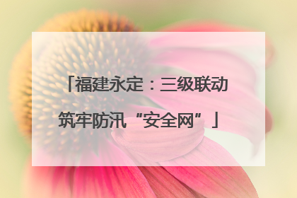 福建永定：三级联动筑牢防汛“安全网”