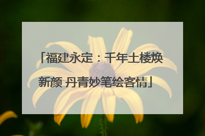 福建永定：千年土楼焕新颜 丹青妙笔绘客情