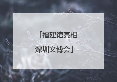 福建馆亮相深圳文博会