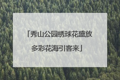 秀山公园绣球花盛放 多彩花海引客来